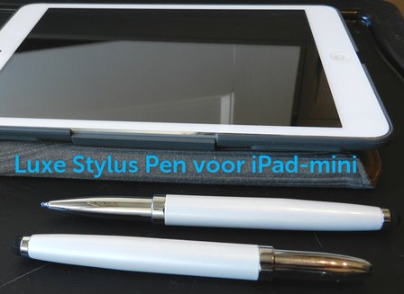 iPad pen