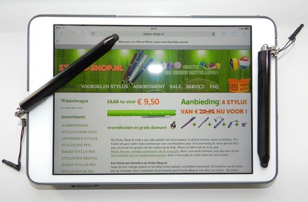 Stylus pen 2 in 1